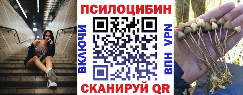 Галлюциногенные грибы Psilocybe  Спасск 